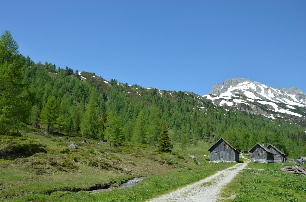 Urlaub Am Kraeutlhof In Appartement Mariapfarr